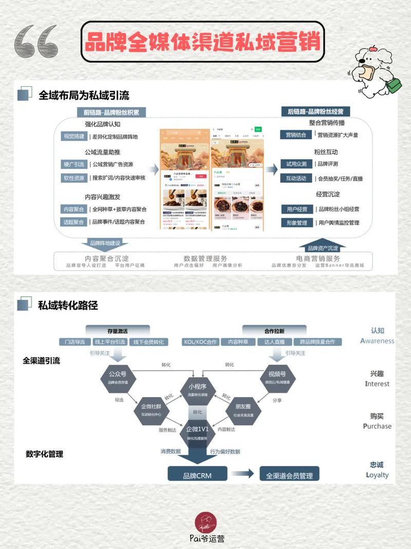 抖音慢赞与dy抖音，内容营销的全栈解决方案
