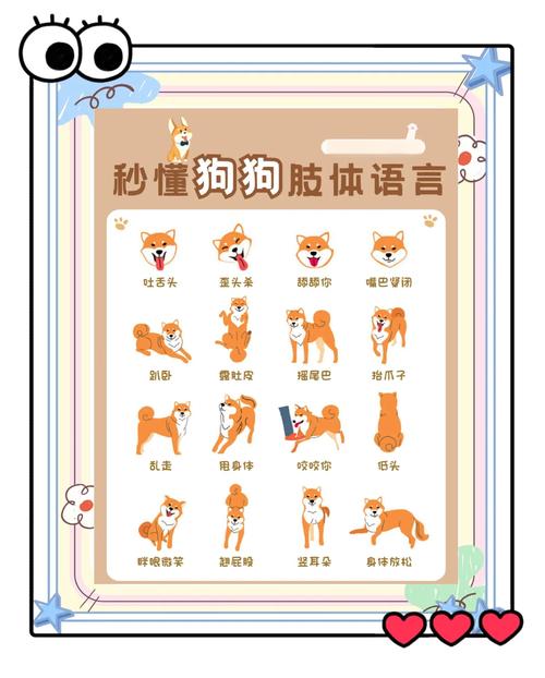狗（king）网络用语，定义与用法解析