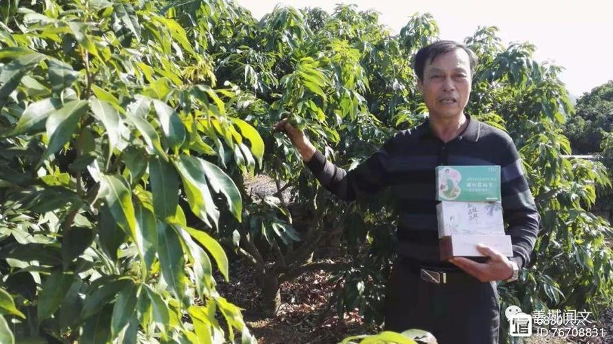 汕尾湖南,打造专业级网站,提升危机管理能力