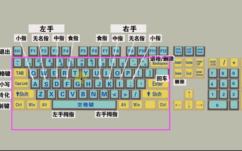 键盘指法入门指南,掌握这些细节,让键盘成为你的得力助手