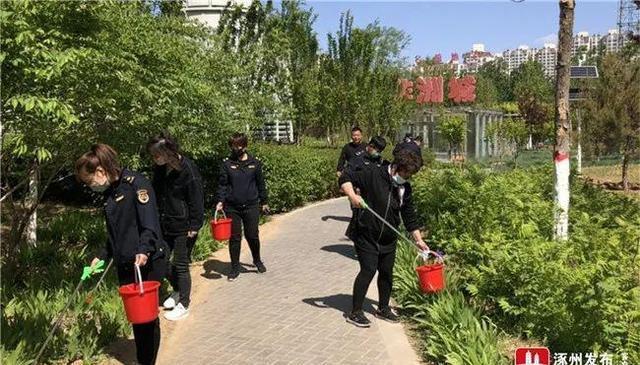 保定涿州如何搭建一个高效、专业的网站?