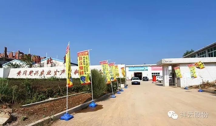 随州祥云网络,助力生活,成就精彩—你的网络生活助手
