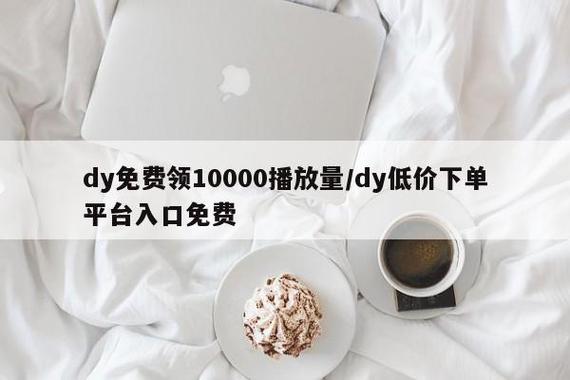 平台概述，dy播放的热门下单平台