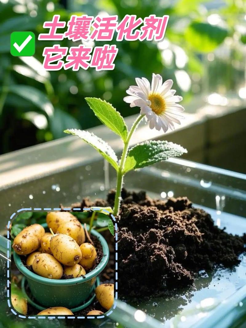 如何让抖音成为你的生根发芽的土壤？