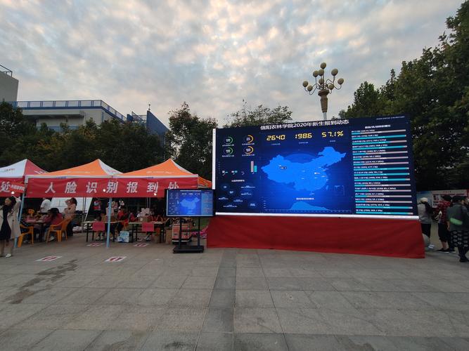 郑州网络公司,科技驱动的未来