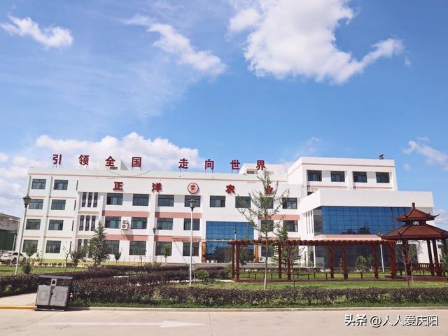 庆阳网络公司，助力Networking的成功之路