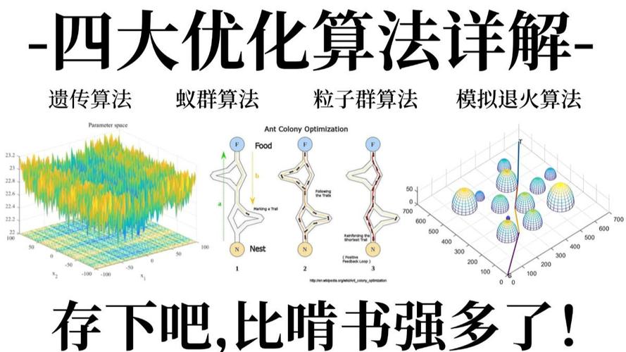 蚂蚁算法，高效、精准、自动化的搜索优化之道