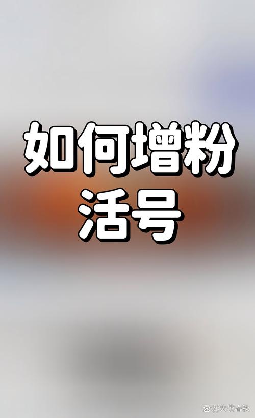 粉丝粉与快刷评论,快手业务增长的关键驱动力