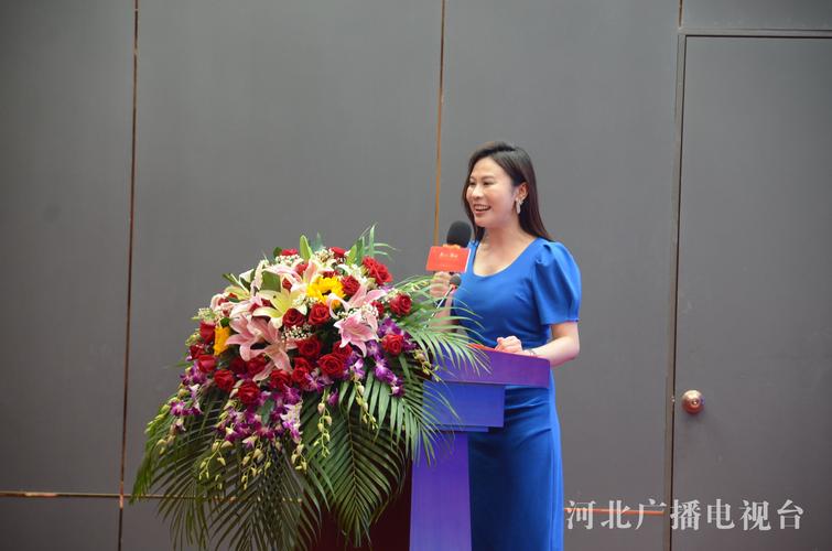 廊坊焦点网络,专业与精准的制作盛宴