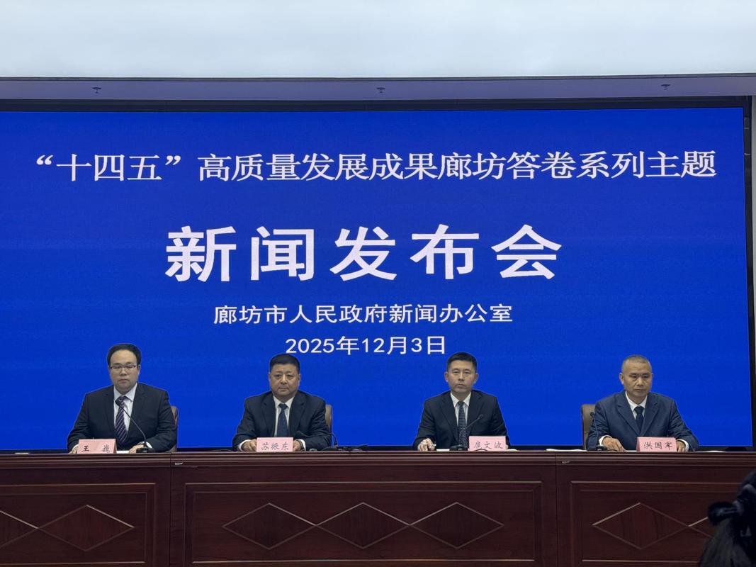 廊坊焦点网络，专业与精准的制作盛宴