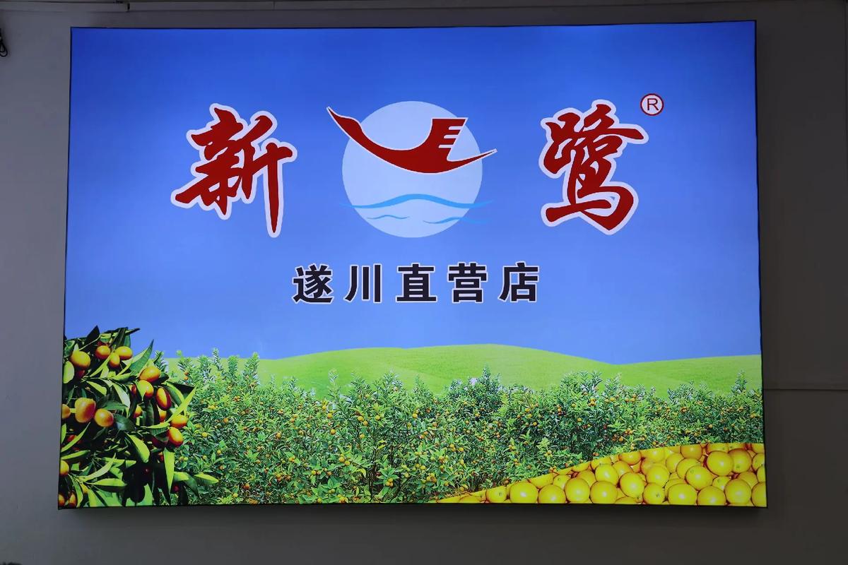 指南，遂川网络公司