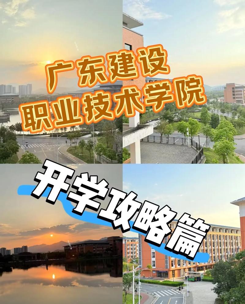 职业学院网站建设指南