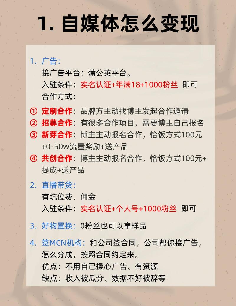 网络运营的赚钱平台,从用户获取到收入生成的完整指南