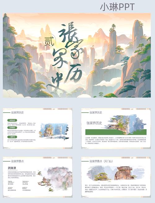 张家界网络推广案例解析，策略与执行的双重智慧