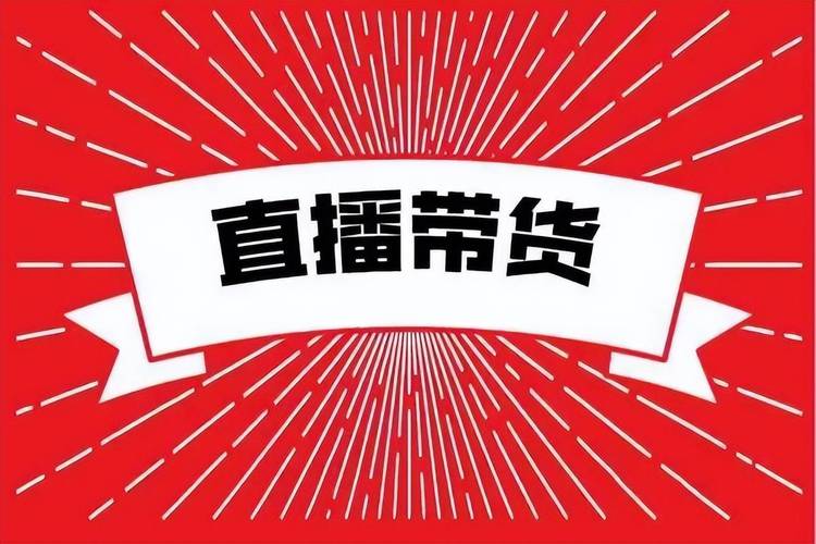 抖音代刷达人,代购、客服、直播代驾,你只需要选我!