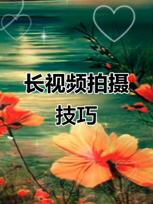技巧,如何在抖音双击播放中获得更好的内容效果