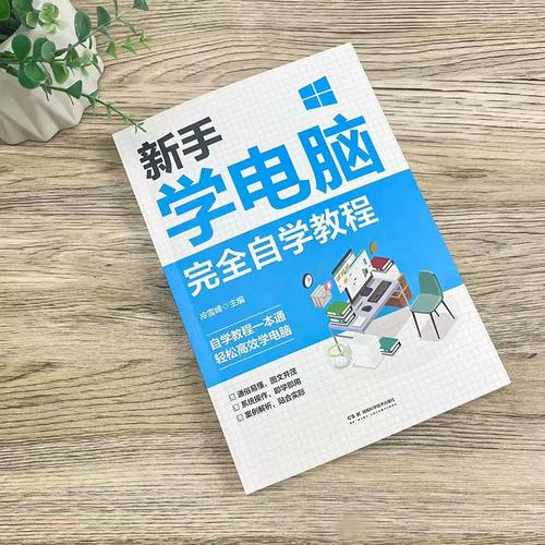 电脑的温馨世界,从新手到高手的指南