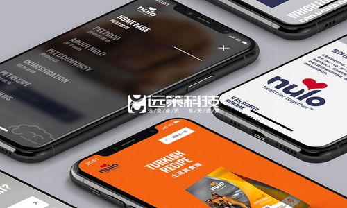 装修与优化,隆昌移动网站建设的解决方案