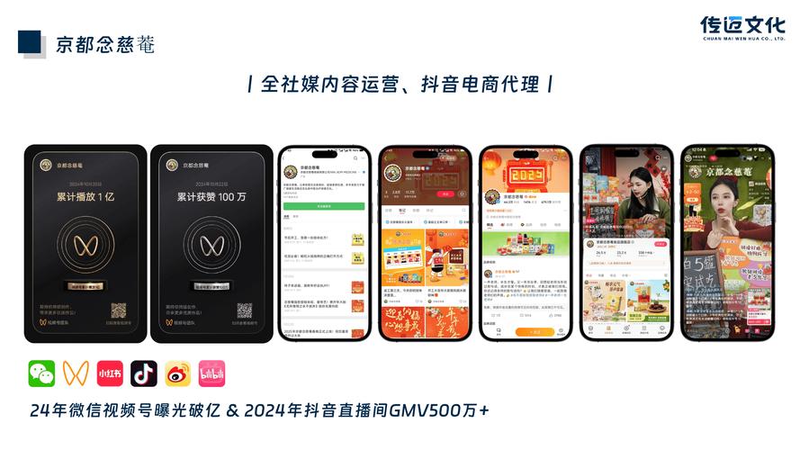 双击秒到网站，业务秒刷网5个，抖音营销的终极指南