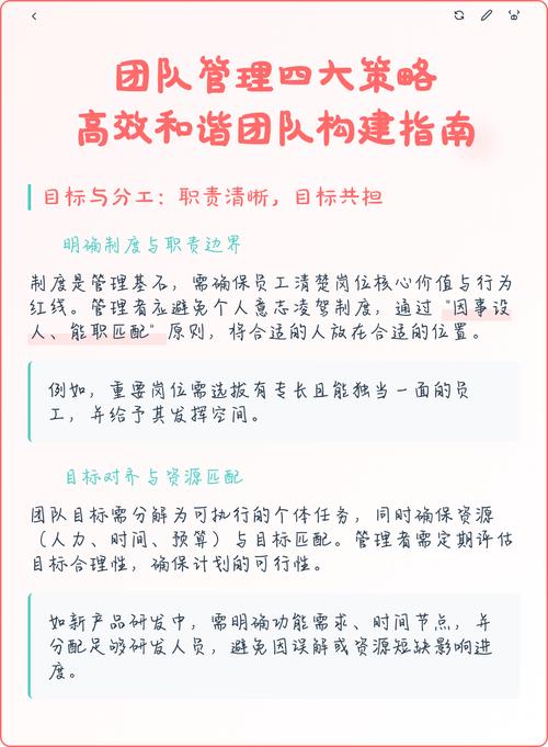 网络设计团队组建指南