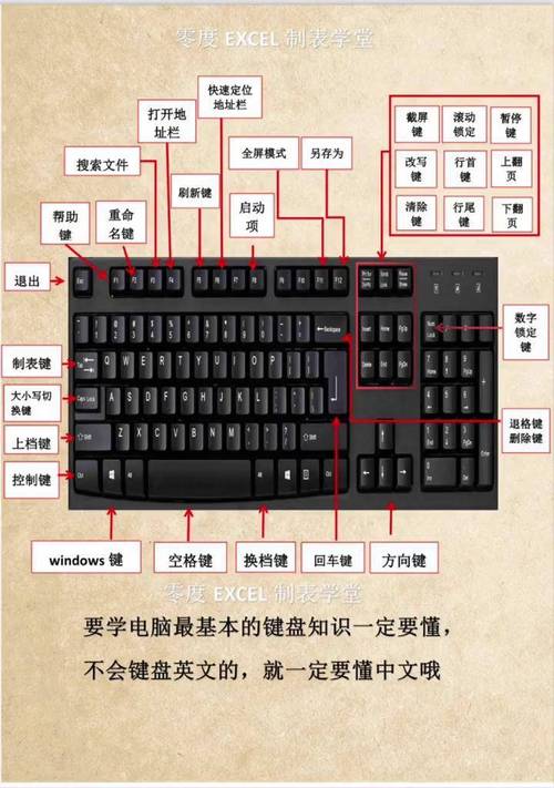 电脑的基础知识,从键盘到输出设备
