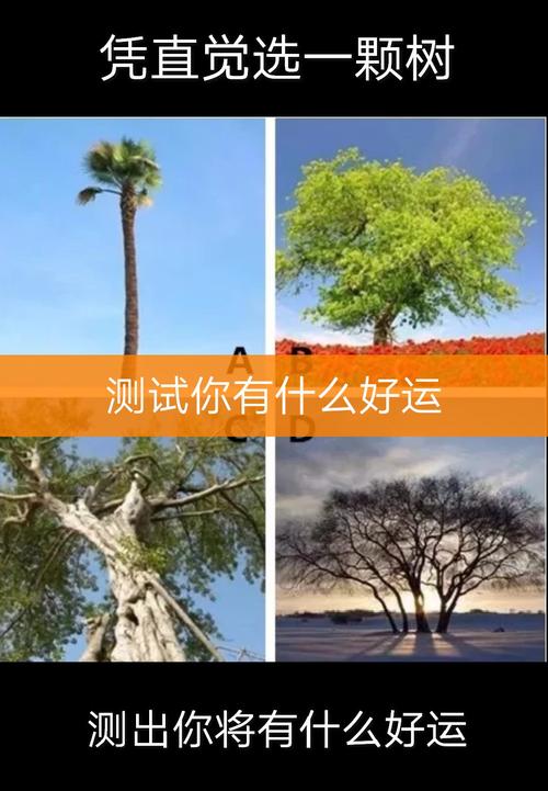 快手秒刷播放量提升+评论赞活跃度提升,你的选择,你的生活!
