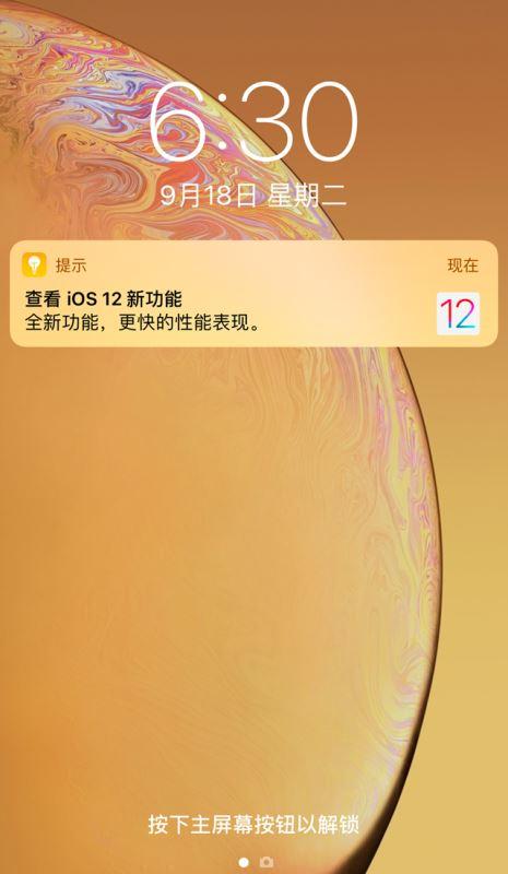 什么是iOS 12 的网络路径?