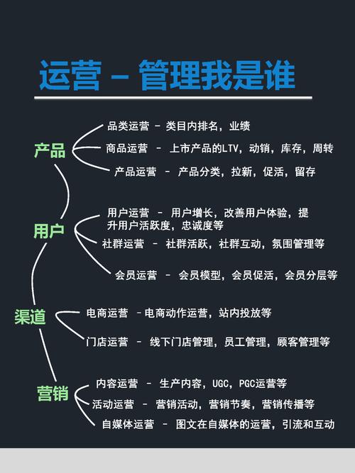 软件营销网站建设,策略与实践指南
