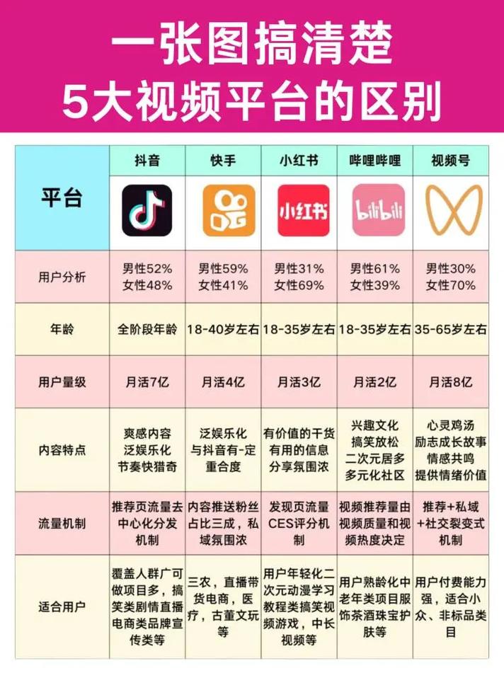 短视频平台分析与品牌建设指南