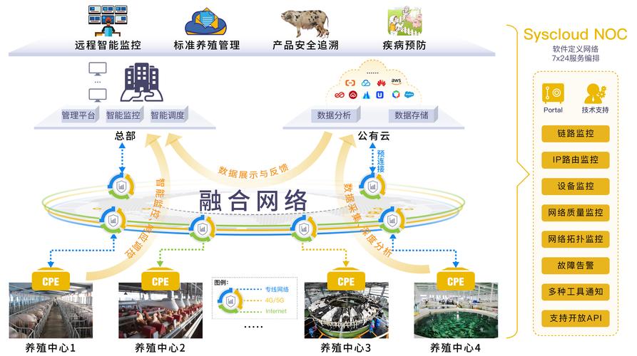 高邑网络，让网络运营更高效