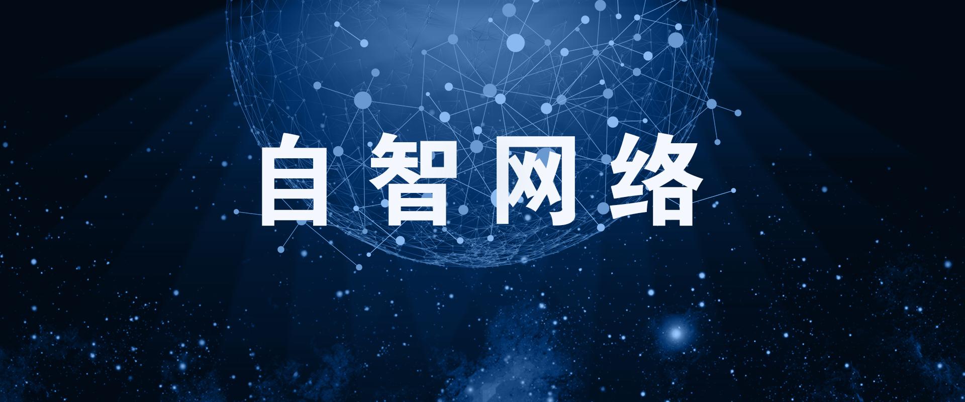 网络公司，机遇与智慧