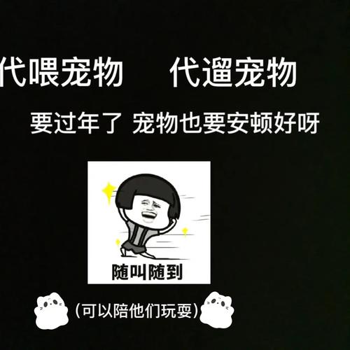 如何利用猫猫耶和代刷网提升视频曝光率?