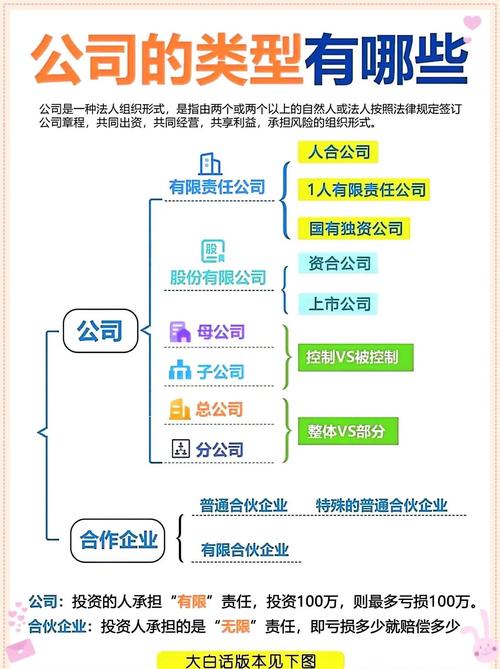 网络公司类别解析,你了解哪些?