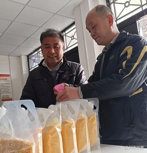 卢氏县网站推广,助力经济发展与群众增收