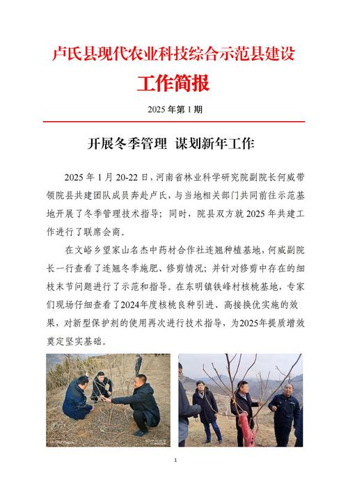卢氏县网站推广，助力经济发展与群众增收