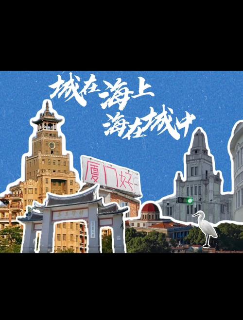 厦门网络平台，历史传承与未来展望