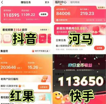 刷赞平台全网最低价抖音，代网刷业务网快手