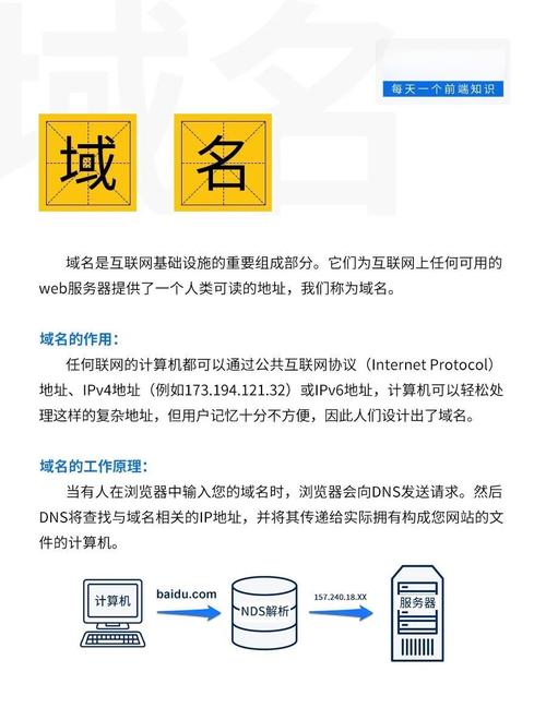 网络域名，全球领先者？真相大白！