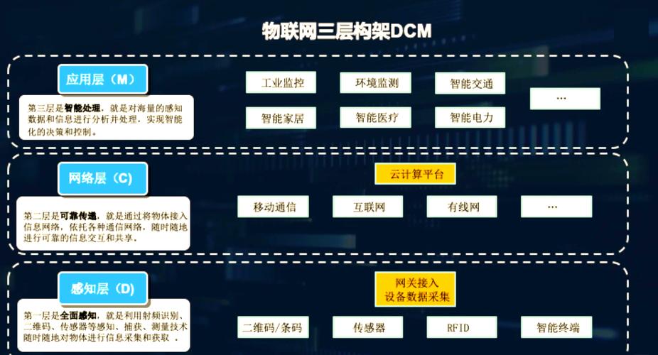 物理网络的重要性与发展