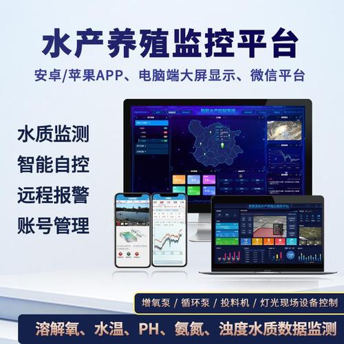 青海省鑫诚网络有限公司,助力企业打造高效网络平台
