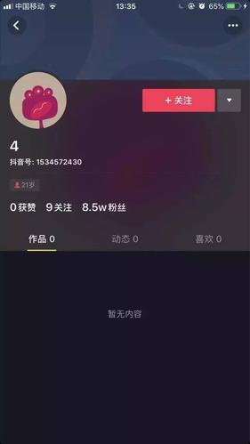 抖音刷赞指南，高效提升内容曝光率