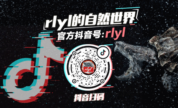 抖音南美业务，net刷与秒刷的秘密