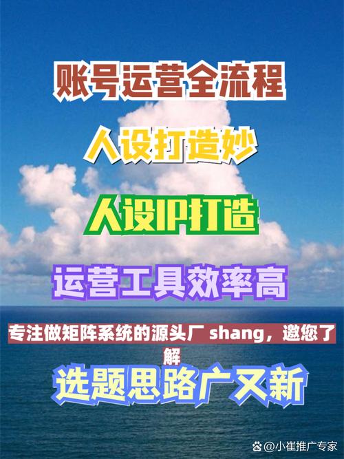 dy平台，高效运营的必选选择