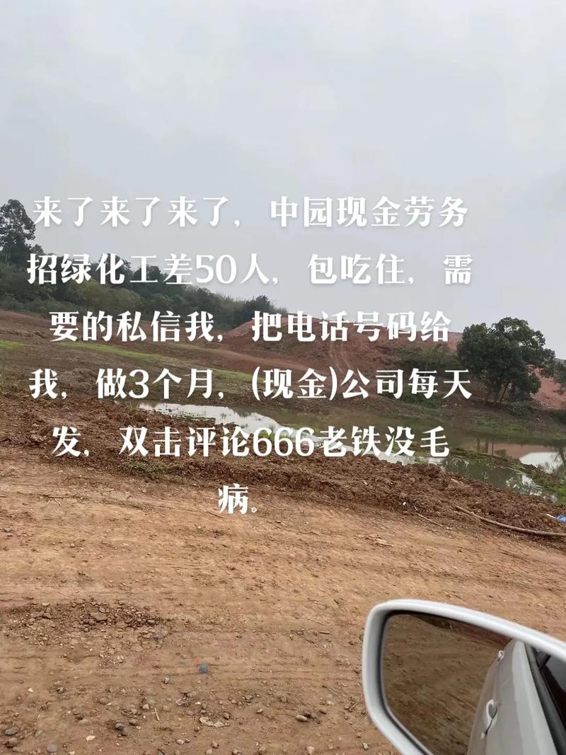 抖音双击推荐失败了?这可能不是问题,而是你的算法问题!还有免费服务,让你轻松上车!