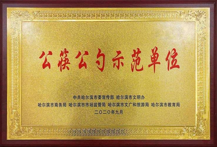 哈尔滨首选网络公司,选择理由与服务保障