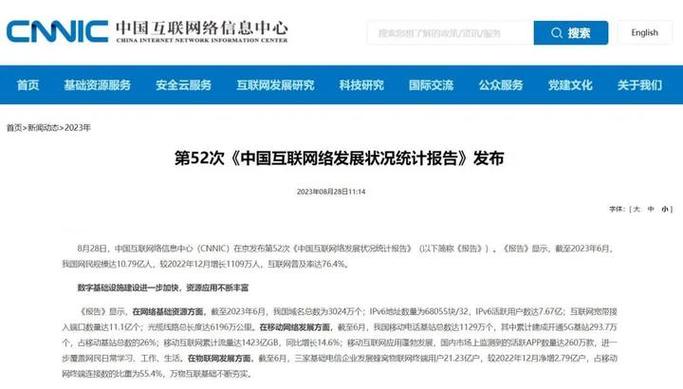 大连互联网发展新趋势,网站优化与应用开发
