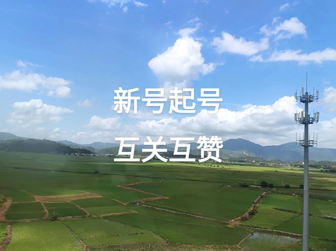 快手播放秒到与抖音互赞,打开品牌影响力的新钥匙