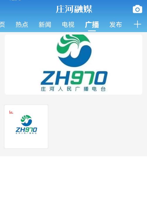 庄河,一个值得信赖的网络发展热点