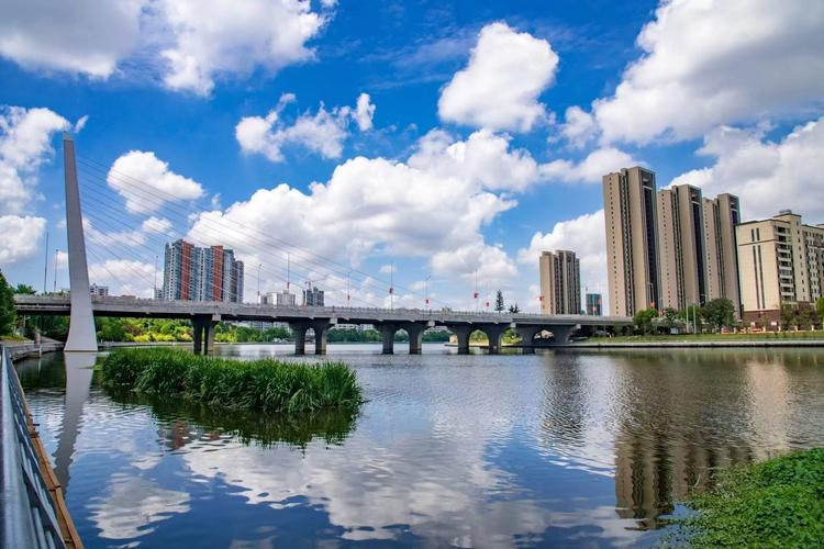 什么是枣阳网站建设?