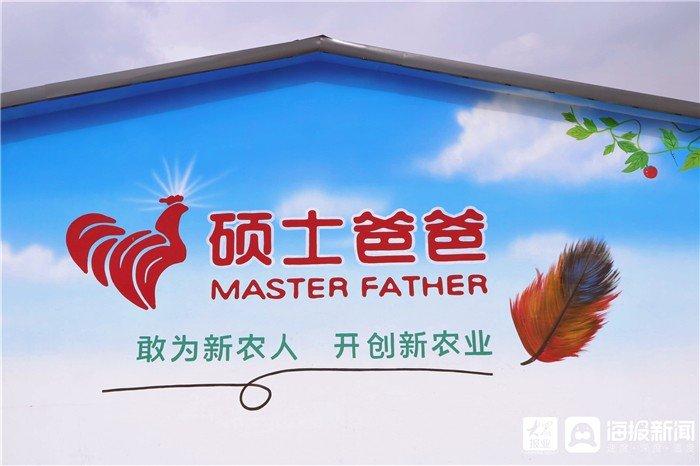 东营网络营销外包,助力企业成功之道